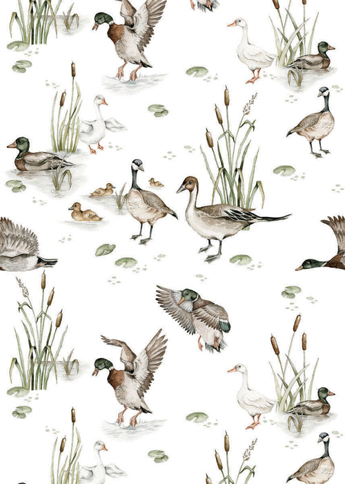 DEKORNIK Ducks Lake Wallpaper