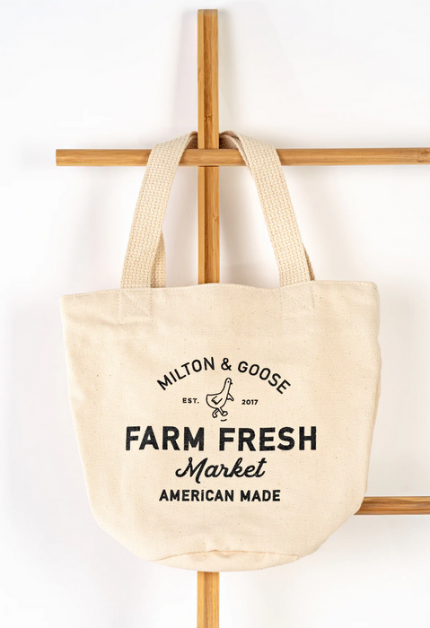 MILTON Pluto Shopping Small Bag, Grey (40.5 x 15 x 36.8 cm) | Grocery Bag |  Multipurpose Bag | Vegetable Bag | Fruit Bag | BPA Free | Easy to Carry |  Reusable Bag | Food Grade : Amazon.in: Fashion